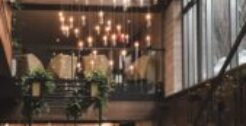 Pet Friendly Wedding Venues
