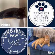 People’s Animal Welfare Society