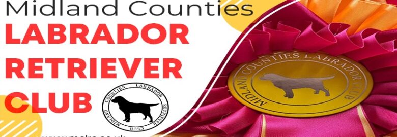 The Midlands Counties Labrador Retriever Club