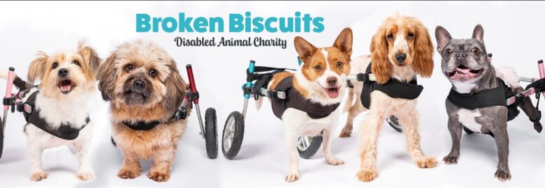Broken Biscuits Charity