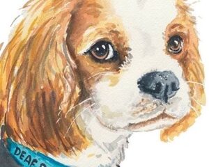 Broken Biscuits Charity