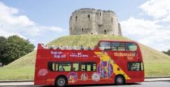 Tours & Sightseeing