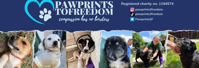 Pawprints To Freedom
