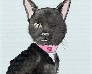 The Ginger Cat House Rescue, Refuge and Rehome