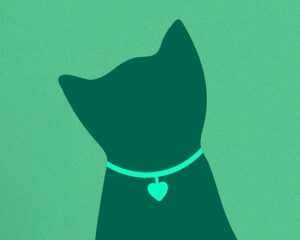 Filey Cat Rescue