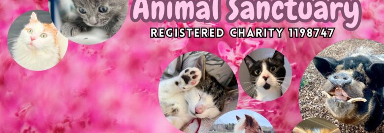 Fur & Feather Animal Sanctuary