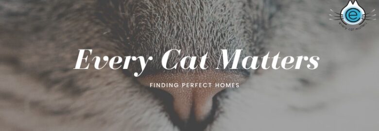Every Cat Matters