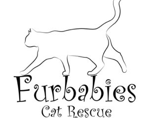 Fur Babies Cat Rescue