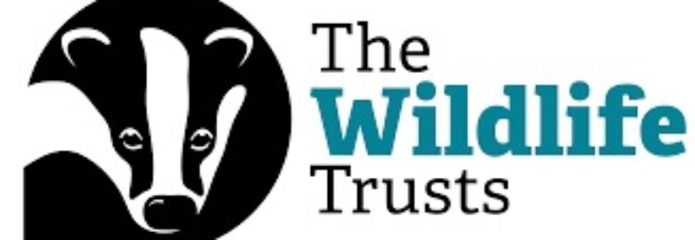 The Wildlife Trust