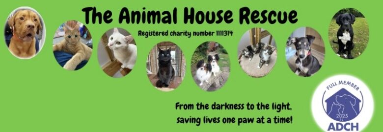 The Animal House Rescue