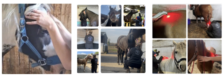 Equi-Flex (Shelley Mannion)