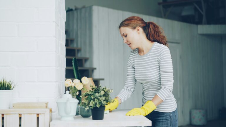 Professional Cleaning & Staging Services